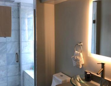 Deluxe King Suite