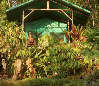 Tent