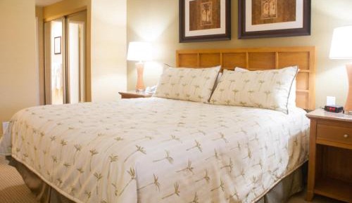 One-Bedroom Villa (No Resort Fees)