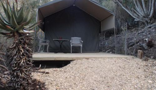 Luxury Tent 8