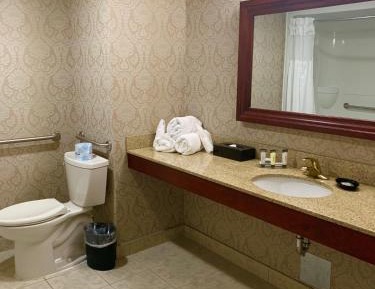 Deluxe King Room - Mobility Access/Non-Smoking