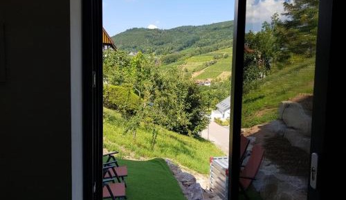 Apartment with Mountain View