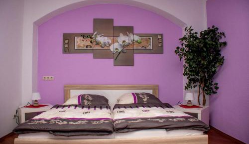 One-Bedroom Apartment (5 Adults) No. 4