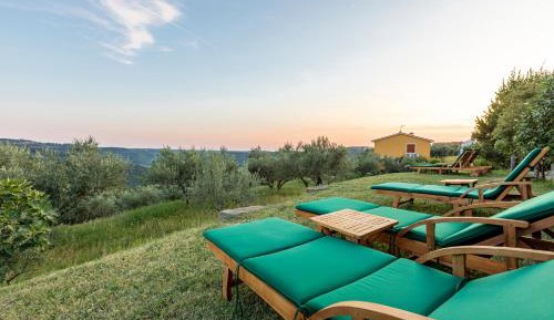 Double Room with Patio