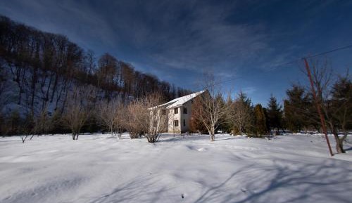 Superior Chalet
