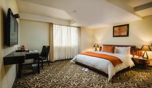 Executive Suite