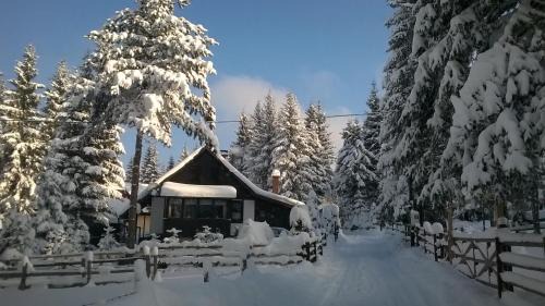 Two-Bedroom Chalet