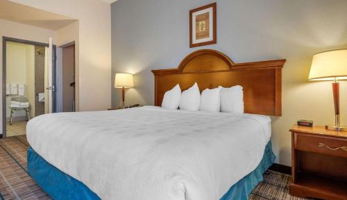 King Room with Roll-In Shower - Accessible/Non-Smoking