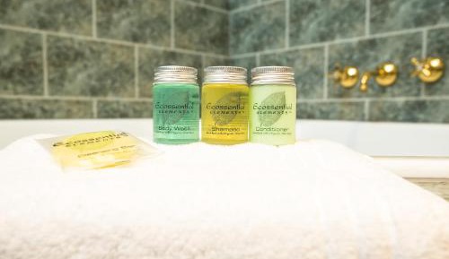 Deluxe Suite with Spa Bath