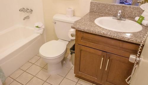 Superior Double Room with Two Double Beds