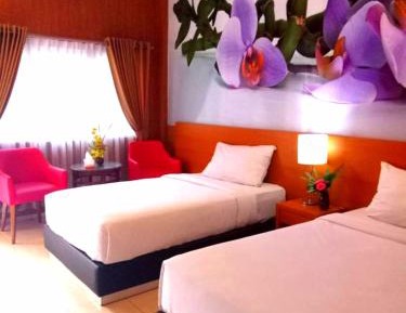 Deluxe Double or Twin Room
