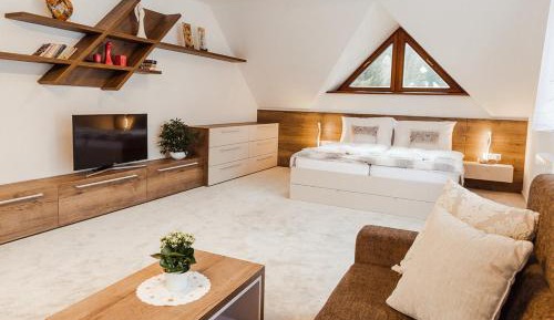 Deluxe Apartment