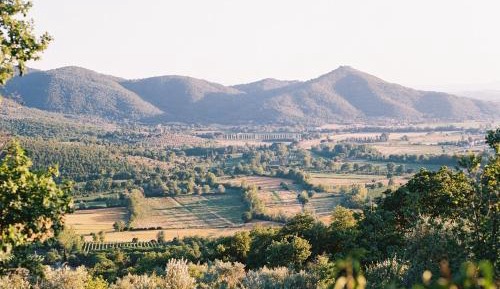 Suite with Garden View