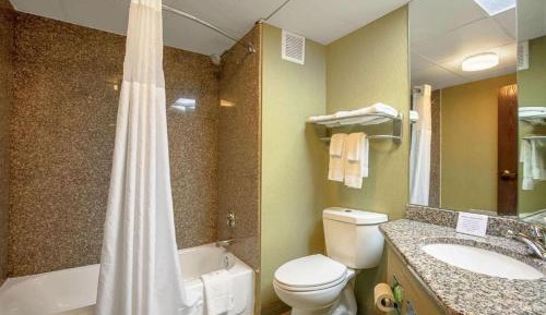 Standard King Room - Non-Smoking 