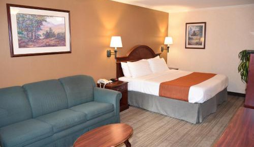 Executive Suite