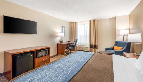Deluxe King Suite with Living Room - Non Smoking