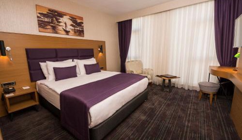 Large Single Room