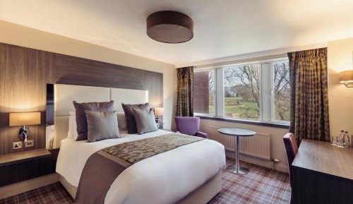 Contempo Double Room
