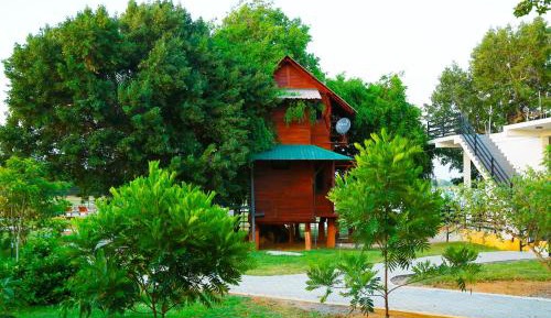 Standard Villa