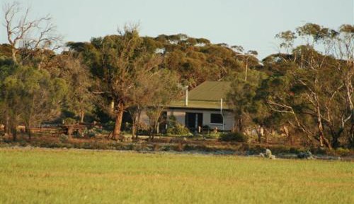 Cottage