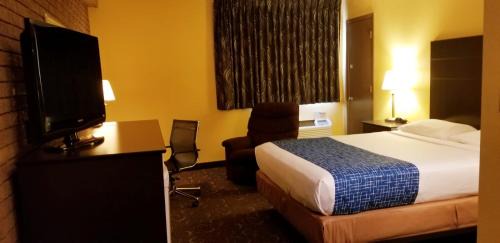 Queen Suite