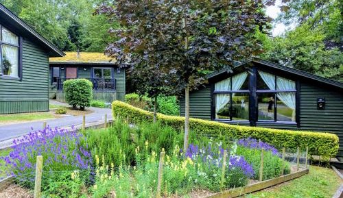 Lodge
