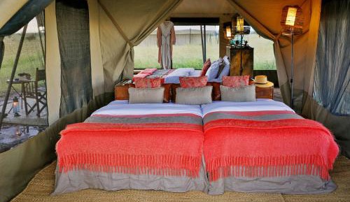 Luxury Tent