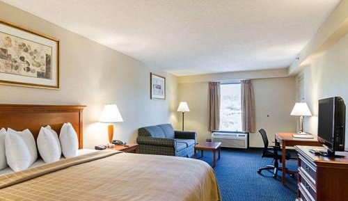 Executive King Room, 1 King Bed, Larger Room, Non Smoking
