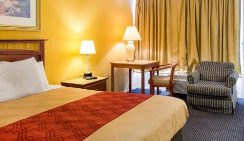 Double Room - Non-Smoking 