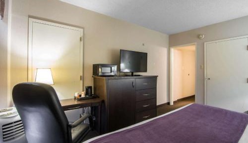 King Suite with Sofa Bed