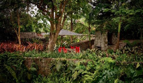 Paradise Superior Cottage with Garden View