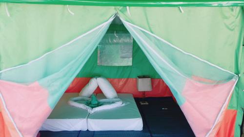 Standard Tent