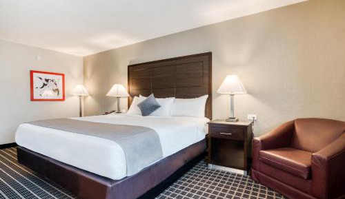 King Room
