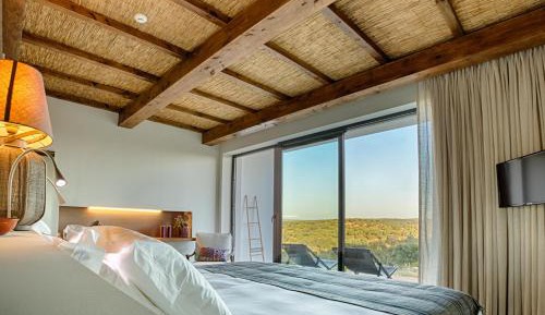 Premium Double or Twin Room