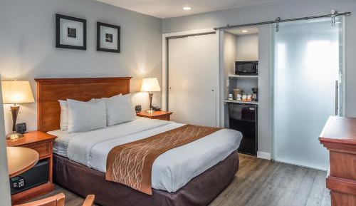 Standard Room with One Queen Bed - Non-Smoking