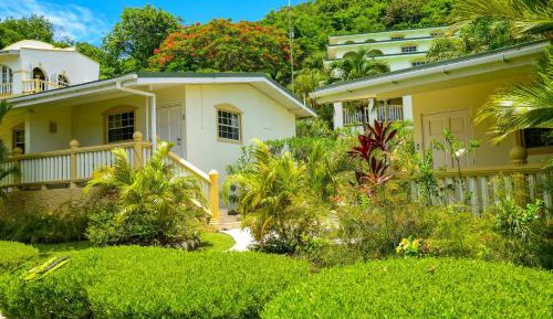 Superior Studio Garden View