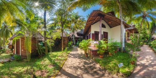 Ayurveda Panchkarma /Rejuvenation package - Standard Double Room