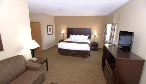 Standard King Suite