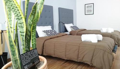 Twin Room with Private Bathroom