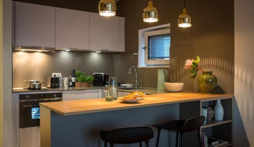Executive Comfort Single Studio with River View (55 in bed witdth)