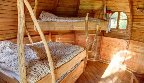 Family Tree House (6 People)