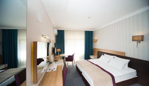Standard Double Room with Pets Free