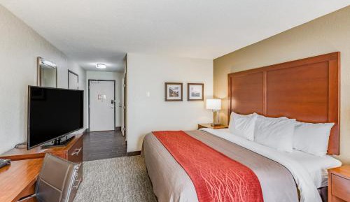 King Room - Disability Access/Non-Smoking