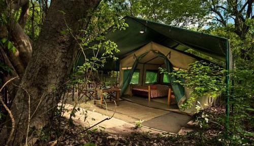 Tent