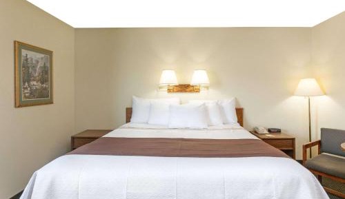 Deluxe King Suite