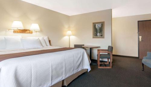 King Room - Non-Smoking