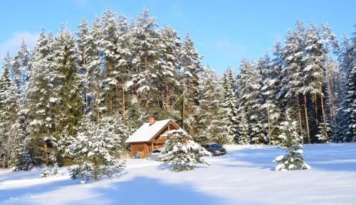 Holiday Home