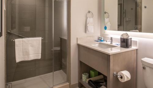 King Studio Suite with Kitchen and Sofa Bed