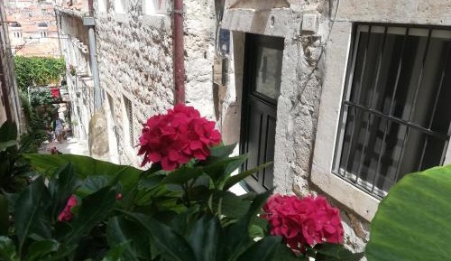 Studio Apartment- Zvijezdiceva street 15