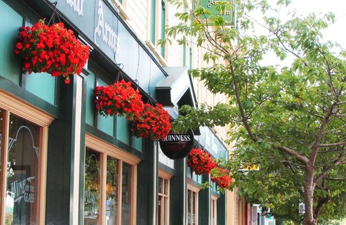 Whanganui Hotel | Rutland Arms Inn